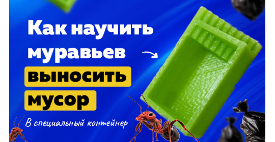 Дрессированные мураши: как научить муравьев убирать за собой