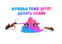 Ого! Смотри, как муравьи отреагируют на слайм
