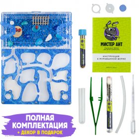 Муравьиная ферма Медиум “Аква” (ПОЛНЫЙ КОМПЛЕКТ) Муравьиная ферма Медиум “Аква” (ПОЛНЫЙ КОМПЛЕКТ)