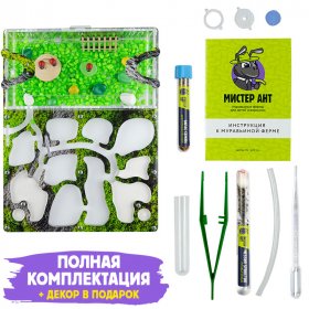 Муравьиная ферма Медиум “Горный мох” (ПОЛНЫЙ КОМПЛЕКТ)