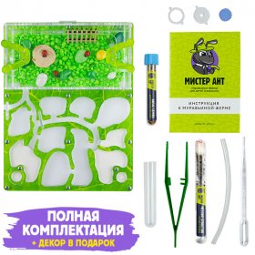 Муравьиная ферма Медиум "Зеленый лист" (ПОЛНЫЙ КОМПЛЕКТ)