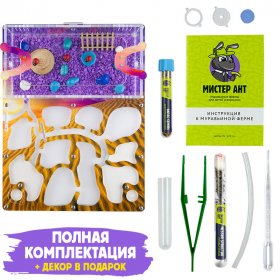 Муравьиная ферма Медиум “Закат в пустыне” (ПОЛНЫЙ КОМПЛЕКТ) Муравьиная ферма Медиум “Закат в пустыне” (ПОЛНЫЙ КОМПЛЕКТ)