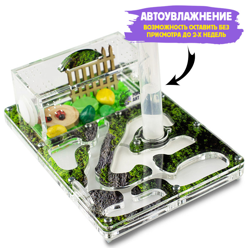 Муравьиная ферма Мини "Горный мох" (ПОЛНЫЙ КОМПЛЕКТ) Муравьиная ферма Мини "Горный мох" (ПОЛНЫЙ КОМПЛЕКТ)