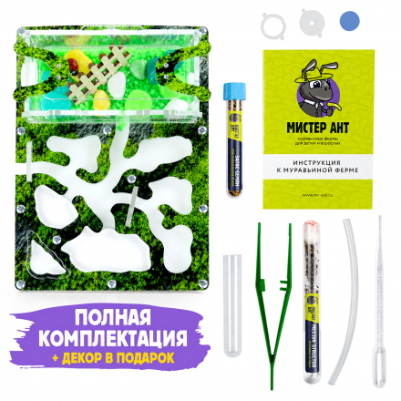 Муравьиная ферма Мини "Горный мох" (ПОЛНЫЙ КОМПЛЕКТ) Муравьиная ферма Мини "Горный мох" (ПОЛНЫЙ КОМПЛЕКТ)